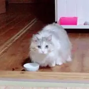 はなママ