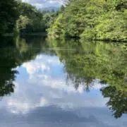 ロミの画像