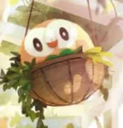 ひかるの画像