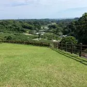 ちーの画像