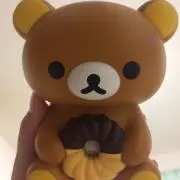 ちゃぼの画像