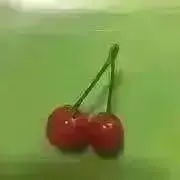 ユテの画像