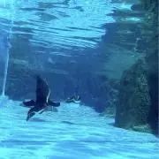 Image of 朝餉【プロフ確認要】