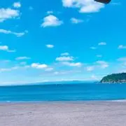 Sの画像