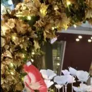 K-NaSea(普通郵便→月のみ発送)