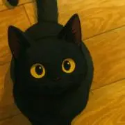 ウォッチ