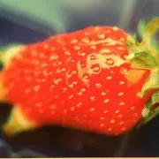 michioの画像