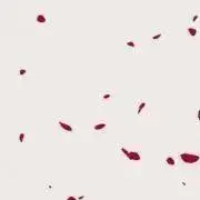 さみ茶の画像