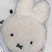 ゆぽちゃの画像