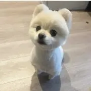 haruharuの画像