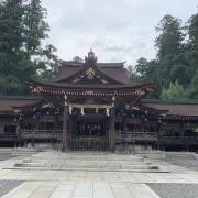 蜜