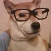 Pろし