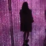 ceの画像