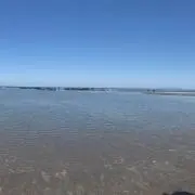 さとへー