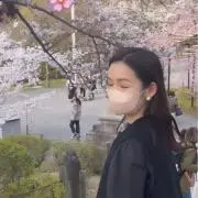 wmdtjの画像
