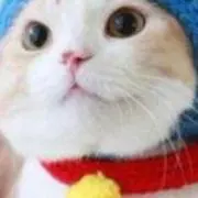 BAO☆