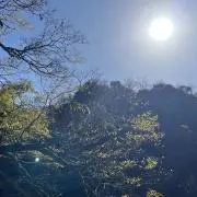 きょうこの画像