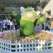 かまぼこの画像