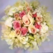 スイトピーの画像
