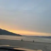 hasyの画像