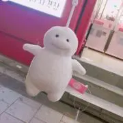 おいもの画像