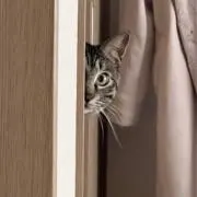 みちりの画像