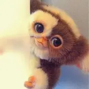 ♡UZU♡の画像