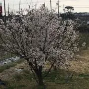 Image of 服や雑貨など出品中
