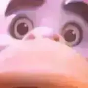 ルの画像