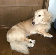 takkin66の画像