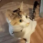 tetsuyaの画像