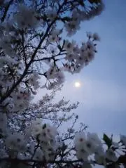 ☆naoの画像