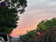 かにさんの画像
