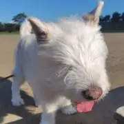 yukoの画像