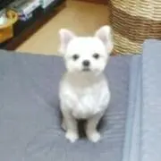 かえ