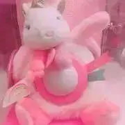 きんぎょの画像