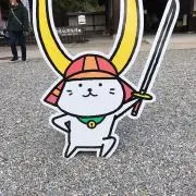 どんくんの画像