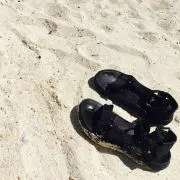 さかいの画像