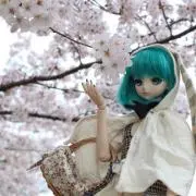 けだま