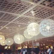 Matsuの画像