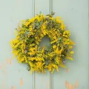 ⭐︎みみみん3588⭐︎の画像