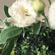 りんごの画像