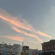 ちゃむの画像