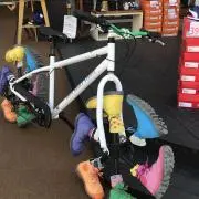 ゼブラの画像