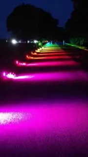 skmの画像