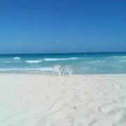 ミート君の画像