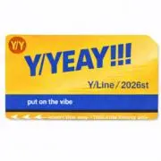 Y/Y