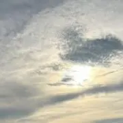 ゆの画像
