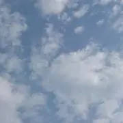 ゆめママの画像