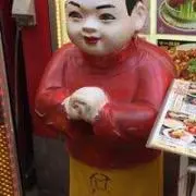 たかの画像